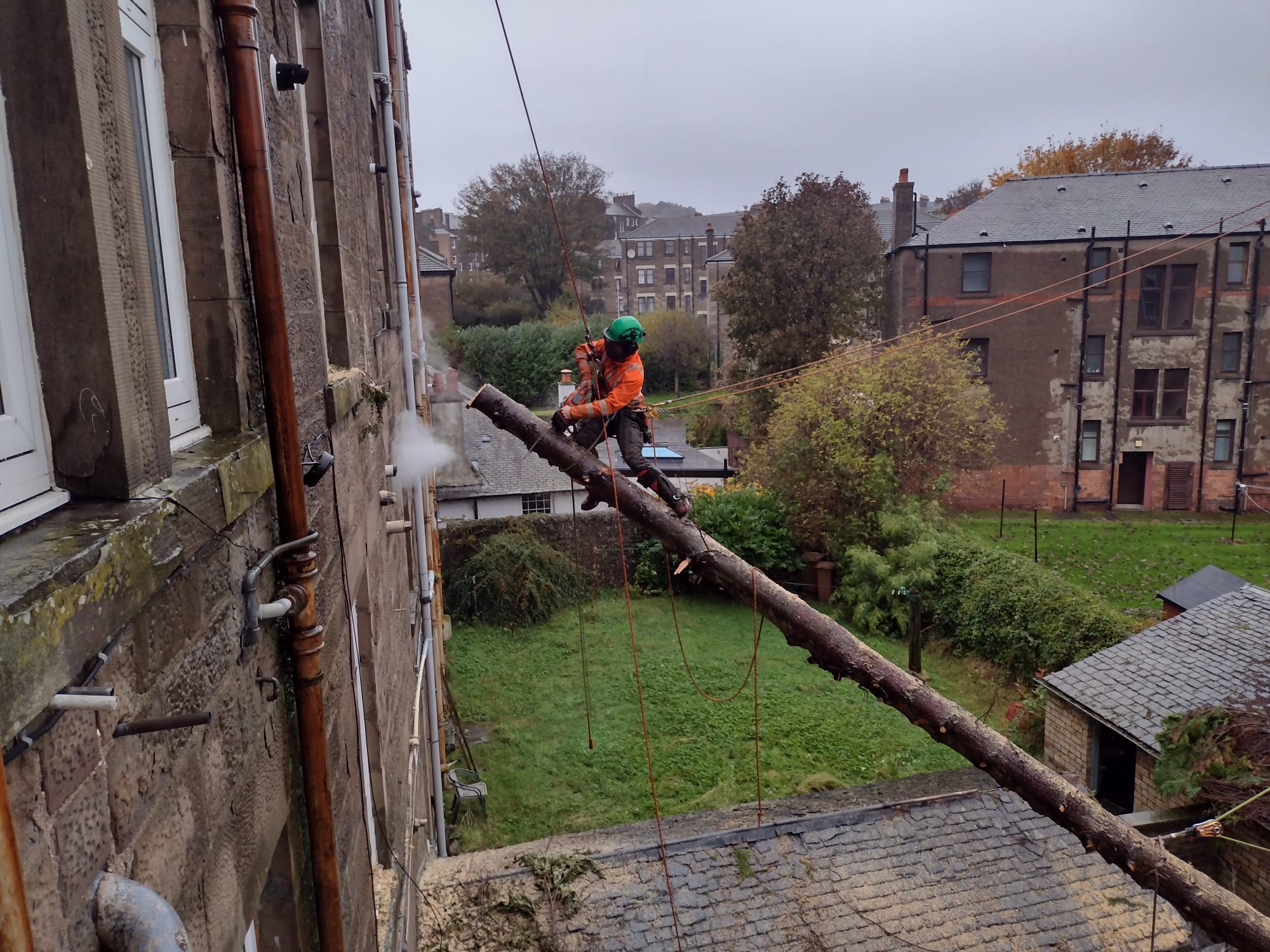 Emergency Tree Work services by TM Trees