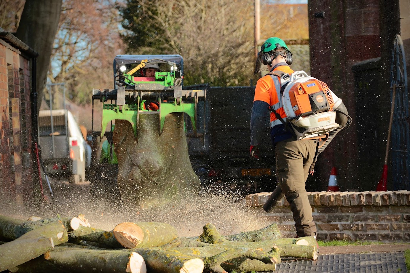 TM Trees team at work