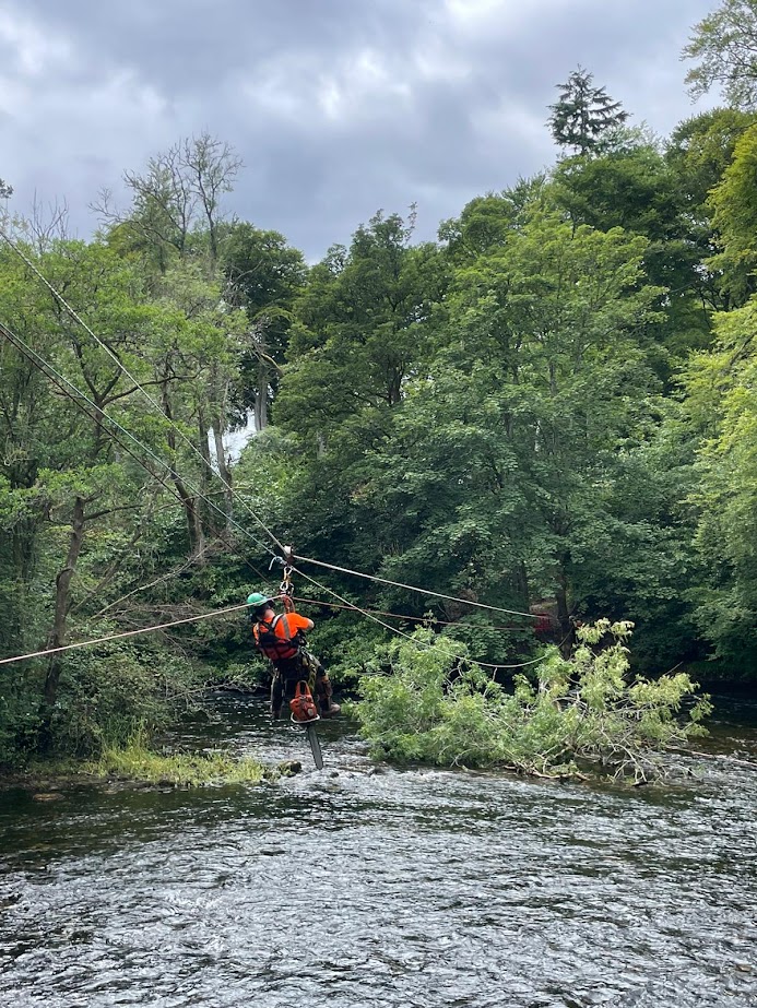 Commercial tree services