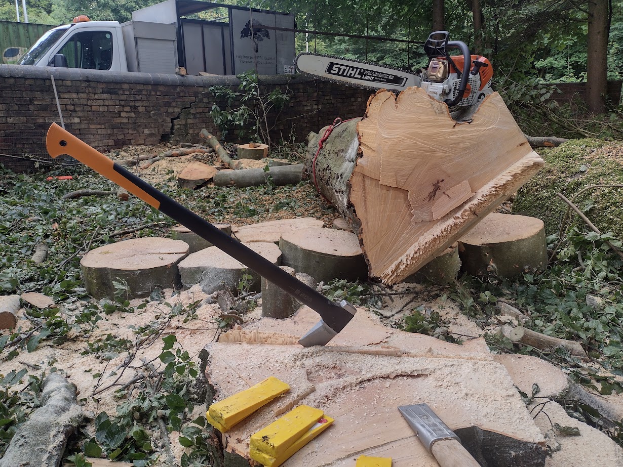 Stump Removal services by TM Trees