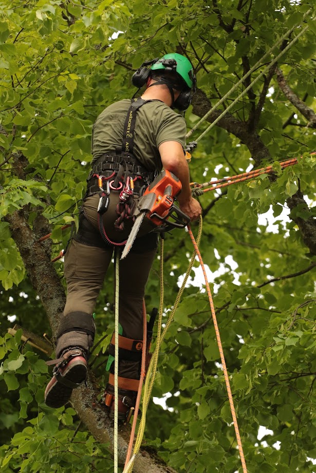Residential tree care