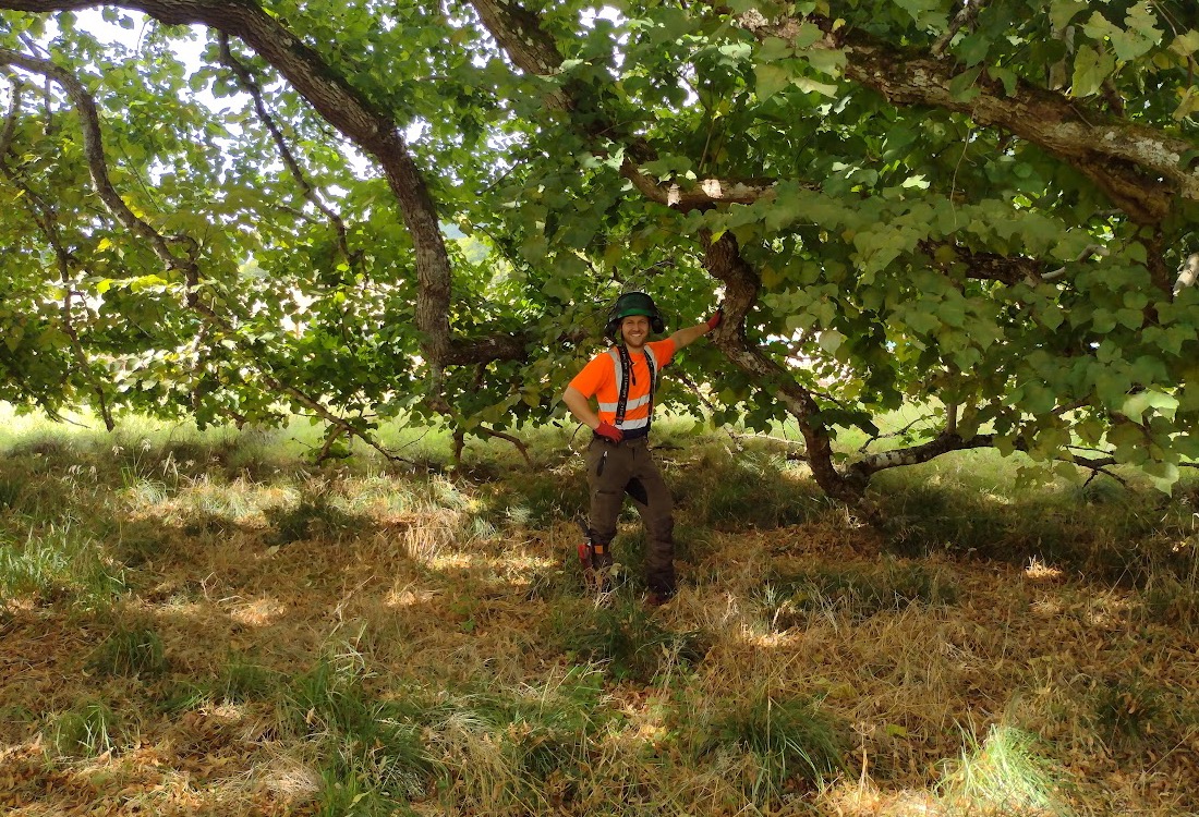 Timmy, founder of TM Trees